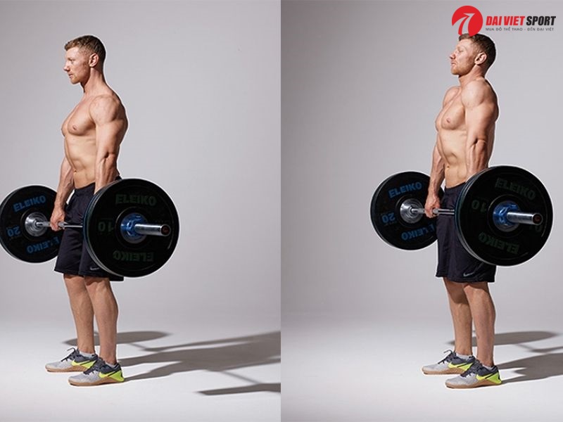 Bài tập Shoulder shrug