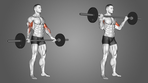 bai-tap-wide-grip-standing-barbell-curl
