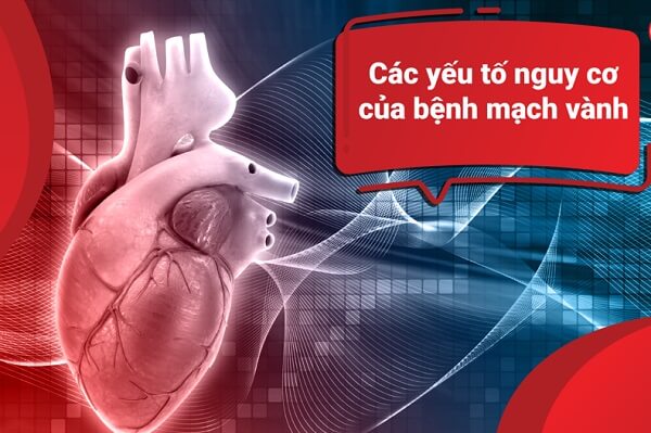 benh-dong-mach-vanh-va-cac-yeu-to-nguy-co-khi-chay-bo-6