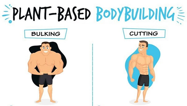 bulking-va-cutting-trong-tap-gym