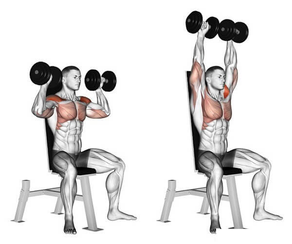 cac-bai-tap-gym-danh-cho-mua-dich-covid-15