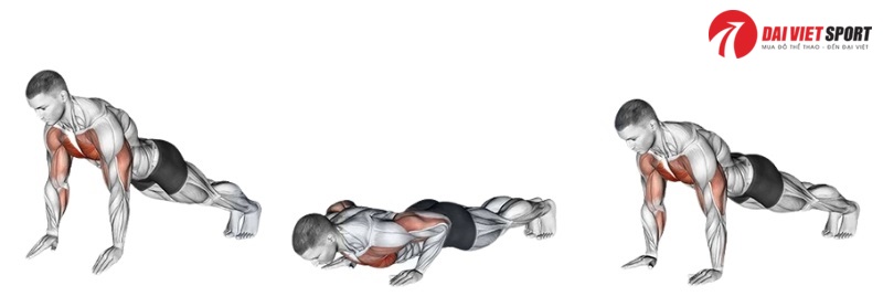 Cách chia lịch Push – Pull – Legs khi tập giàn tạ tại nhà