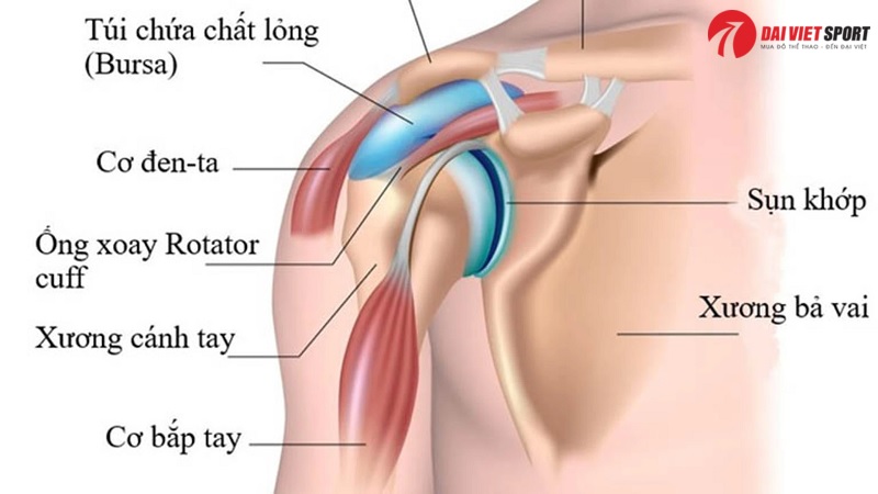 Chấn thương khớp vai khi tập gym