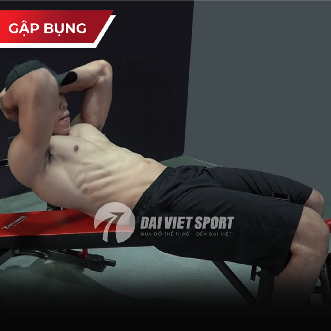 Mua Combo Giàn Tạ Zasami SGT-8210 Plus Để Được Giá Ưu Đãi