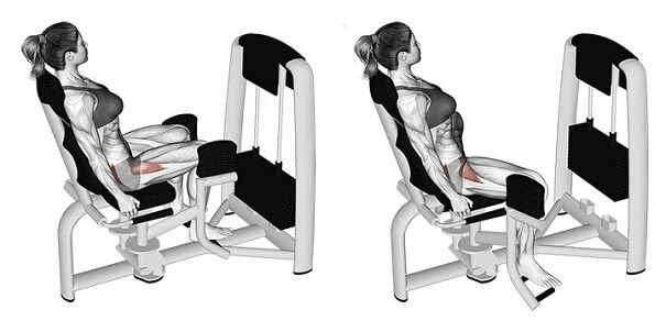 loi-ich-may-tap-gym-hip-abductor