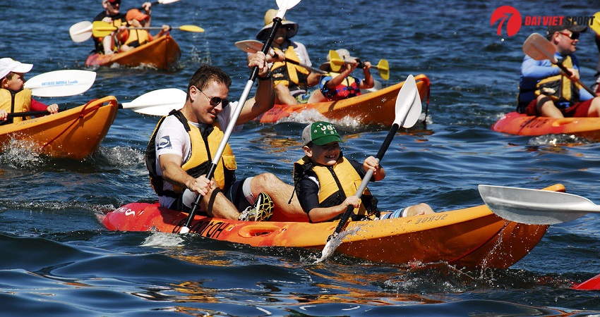 Máy luyện tập chèo thuyền ngoài trời DV-008