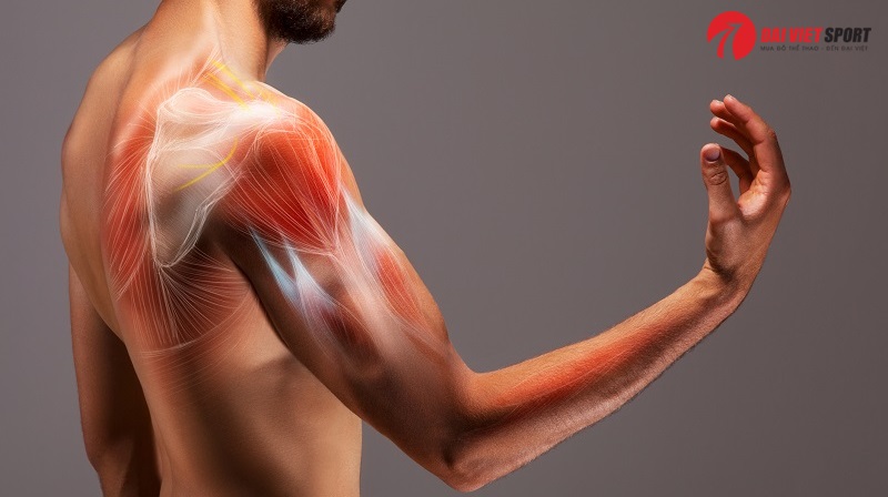 Máy luyện tập chèo thuyền ngoài trời DV-008