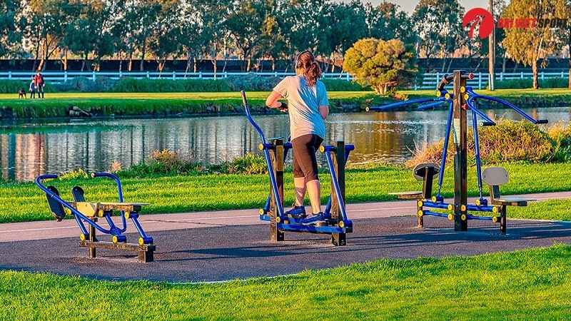 Máy tập chân & tay ngoài trời DV-2010