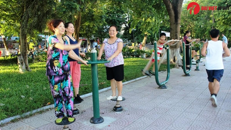 Máy tập lắc hông và xoay eo ngoài trời DV-063