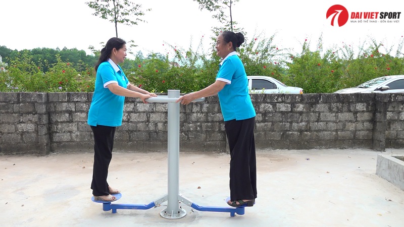 Máy tập xoay eo 2 vị trí đứng ngồi DV-024