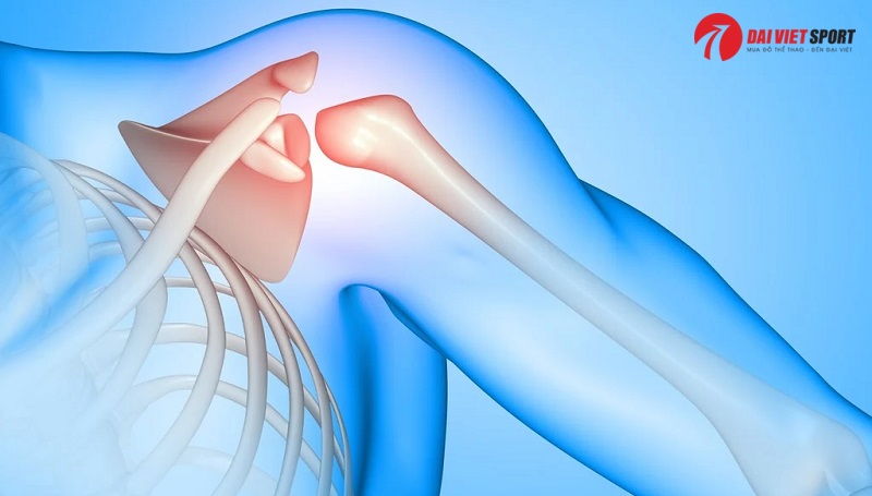 Người bị đau vai có nên tập giàn tạ không?