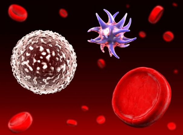 nhiem-trung-mau-co-nguy-hiem-khong