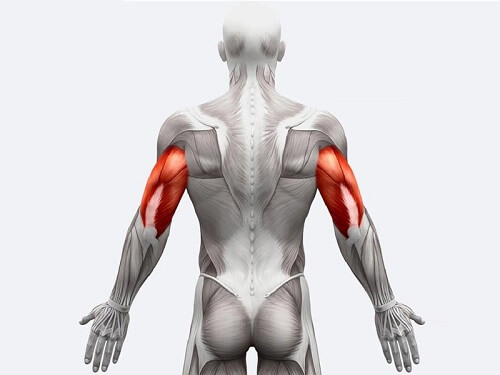 nhom-co-tay-sau-tren-co-the