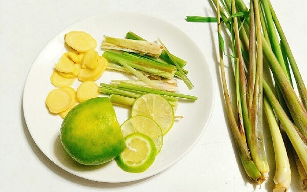 tac-dung-cua-chanh-sa