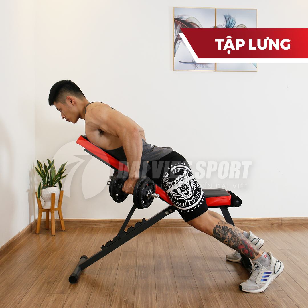 tap-lung-sgn-8611