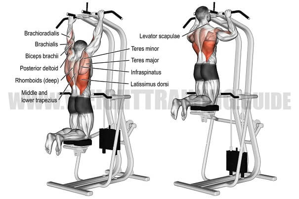 tap-tay-voi-may-assisted-pull-up