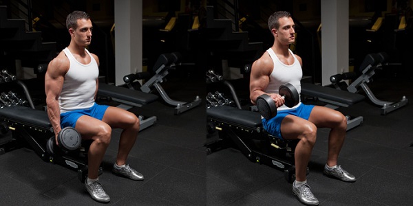 tap-the-hinh-cung-gian-ta-voi-ta-don-10