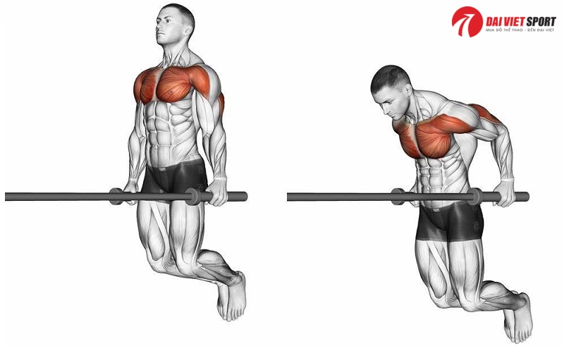 Thiết bị tập chống đẩy DV-030