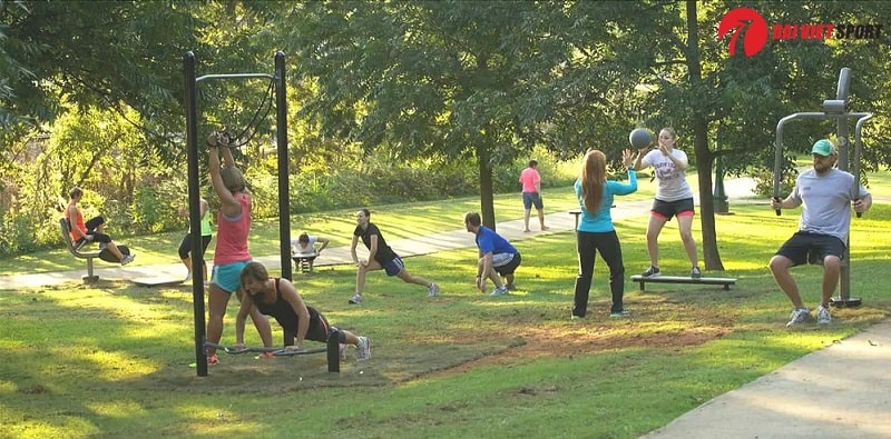 Thiết bị tập đẩy tay ngực DV-1001