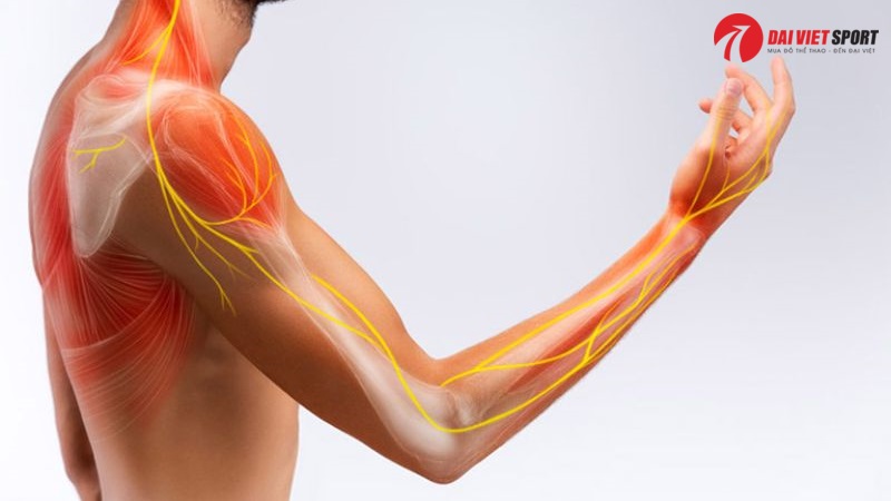 Thiết bị tập tay vai loại đơn DV-033