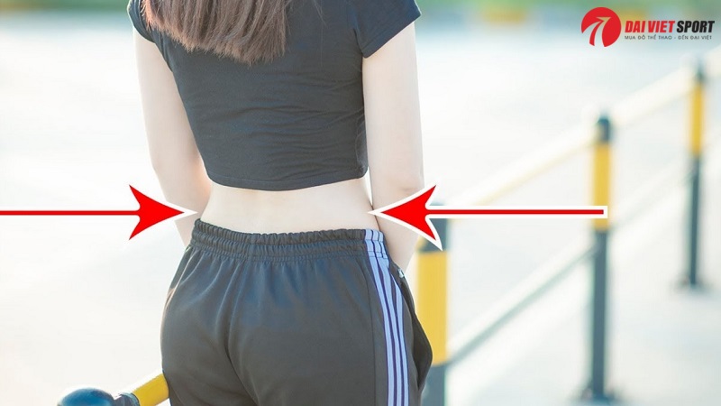 Thiết Bị Tập Uốn Eo DV-018