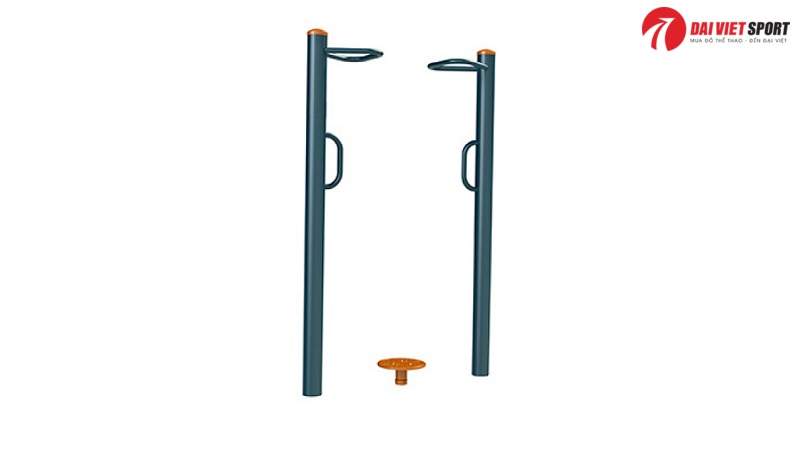 Thiết bị tập xoay eo 1 vị trí DV-033