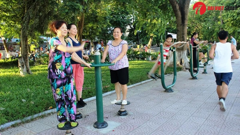 Thiết bị tập xoay eo 1 vị trí DV-033