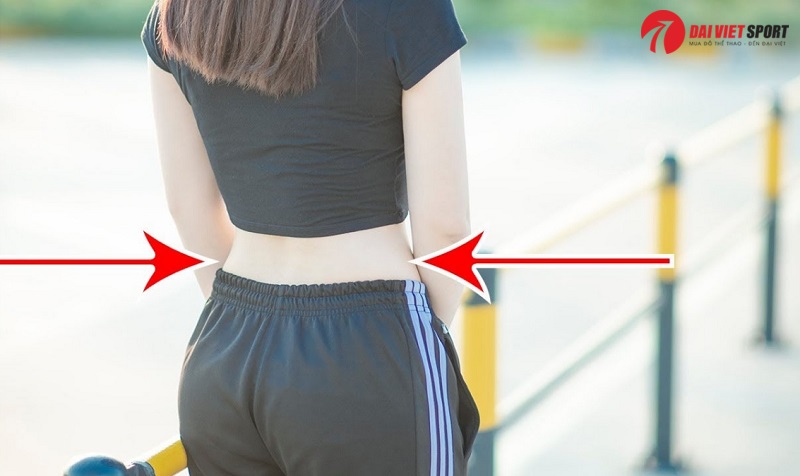 Thiết bị tập xoay eo 1 vị trí DV-033