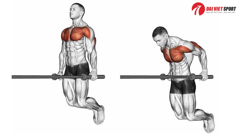 Xà Đơn & Xà Kép DV-2093